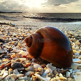 海,海灘,太陽(yáng)