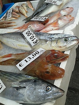 魚,弗里施,市場(chǎng)