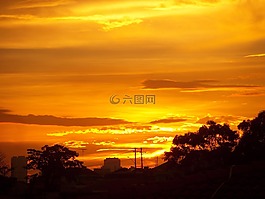 日落,樹,天空