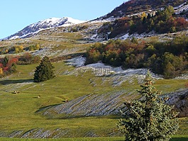秋季,山,雪