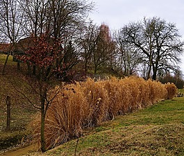 自然,景觀,小山