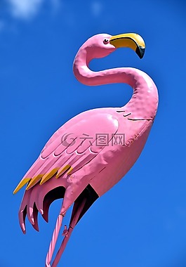 弗拉明戈,數(shù)字,藝術(shù)