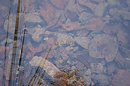 冰,水,石頭