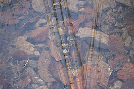 冰,水,石頭