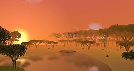 樹(shù),原野,自然