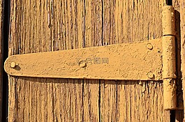 門鉸鏈,舊門,樹