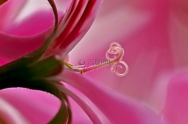 廠,性質(zhì),活