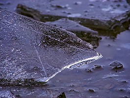 冰,浮冰,冻结