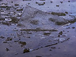 冰,浮冰,冷