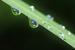 雨滴,一滴水,雨