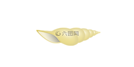 貝殼,海,外殼