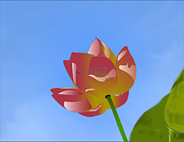 花,紅色,自然