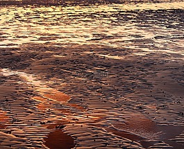 海灘,日落,海