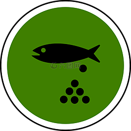 魚(yú),池,水