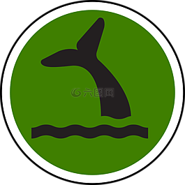 鯨類,生態(tài)系統(tǒng),人口