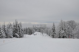 山,冬季,雪