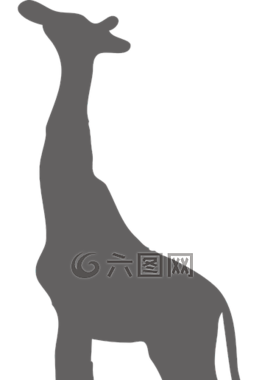 長(zhǎng)頸鹿,野生,動(dòng)物
