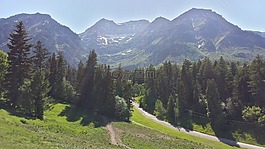 山,草甸,猶他州