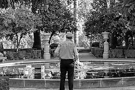 格拉納達,花園,果園