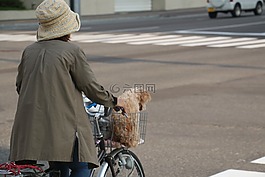 日本,街景,婦人