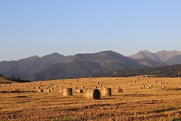 場,干草,稻草