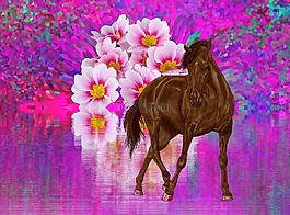 舞蹈,櫻花,馬