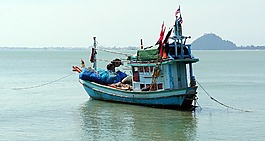 釣魚,船,拖網(wǎng)漁船