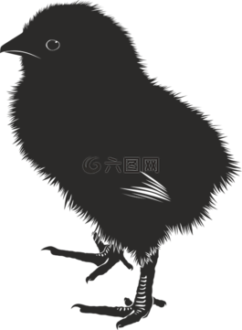 小雞,動(dòng)物,農(nóng)場(chǎng)