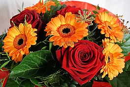花,花束,紅色