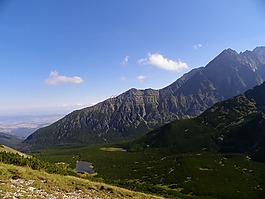 景觀,陽光,夏季