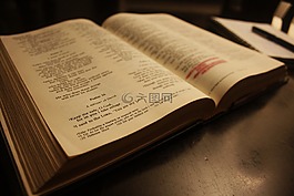 書,圣經(jīng),文本