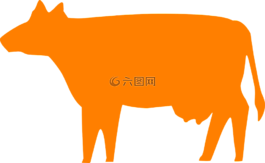 牛,奶牛,農(nóng)村