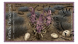 postwwertzeichen,邮票,花香