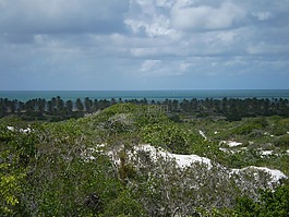 性質(zhì),湖,水