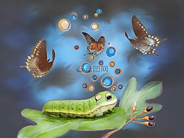 spicebush燕尾,毛蟲,幻想