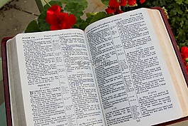 圣經(jīng),開(kāi)放,書(shū)