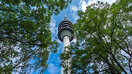 電信塔,塔,建設
