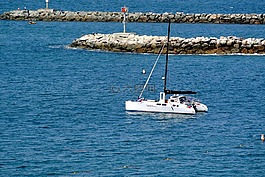 纽波特,海滩,海洋