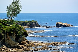 海洋,海灘,太平洋