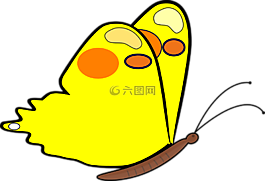 蝴蝶,昆蟲,柑橘