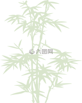 竹,植物,葉子