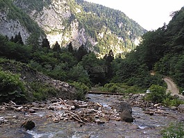 性质,阿布哈兹,美容