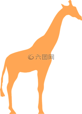 長頸鹿,動物,哺乳動物