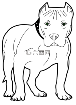 狗,動(dòng)物,寵物