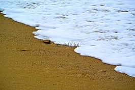 沙,海灘,加利福尼亞州