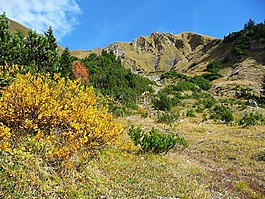 阿爾卑斯山,秋,山