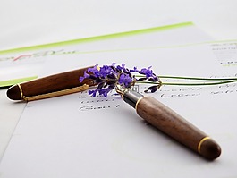 熏衣草,花,紫