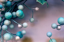 圣誕節(jié),珠,度假