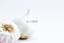 大蒜,调味,灯泡