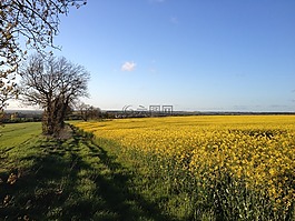 原野,菜子,陰影